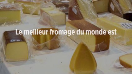 Le meilleur fromage du monde est américain