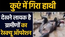 Elephant rescue operation video viral, odissa के Sundergarh की घटना | वनइंडिया हिंदी