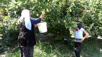 Aileler, kışlık erzaklarını hazırladı