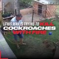 En essayant de tuer des cafards, cet homme finit par faire sauter son jardin.
