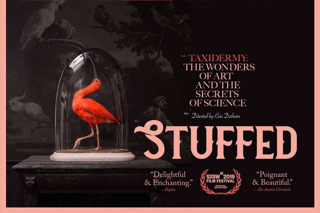 Stuffed Trailer (2019) Documentary Movie