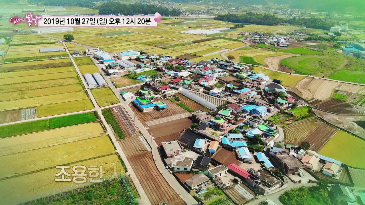 꿀 따는 엄마와 천하태평 내 남편_엄마의 봄날 215회 예고
