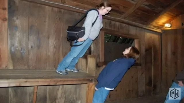 रहस्यमयी जगहें जहाँ ग्रेविटी काम नहीं करती | Places on Earth where Gravity doesn't seems to work