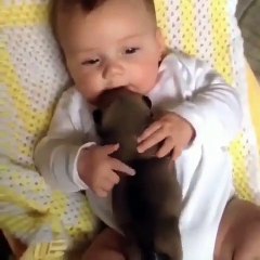 Ce petit chiot se blottit contre le bébé et fait la chose la plus mignonne
