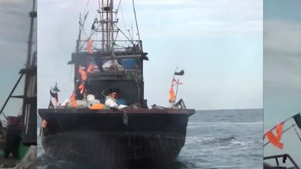 우리 측 EEZ 내 불법조업 중국어선 3척 나포 / YTN