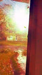 Power Surges into Storm Damaged Tree