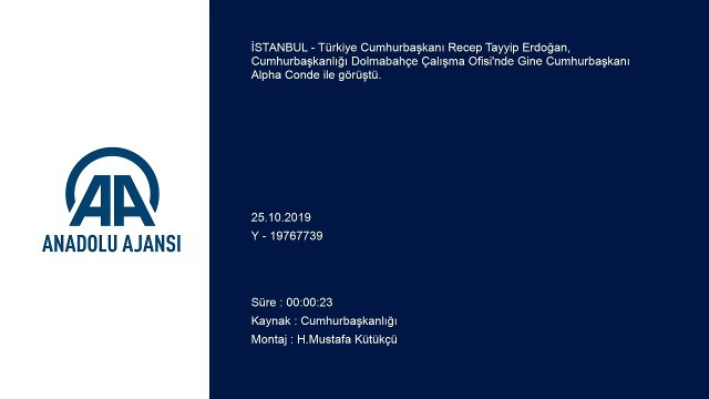 Türkiye Cumhurbaşkanı Erdoğan, Gine Cumhurbaşkanı Alpha Conde ile görüştü - İSTANBUL