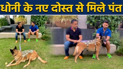 Rishabh Pant share a photo With MS Dhoni and his Dogs | वनइंडिया हिंदी