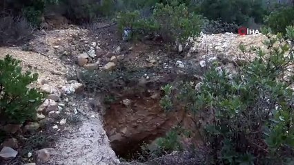 Defineciler ormanı köstebek yuvasına çevirdi