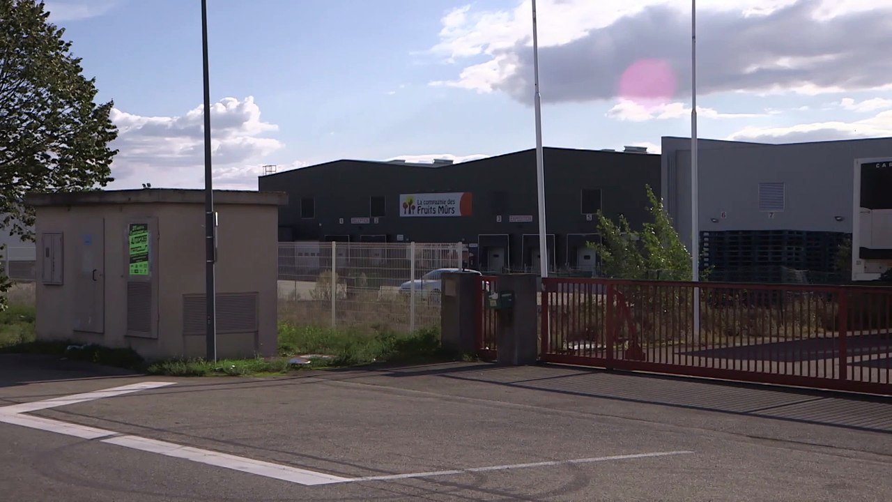 EXCLU AVANT-PREMIERE: Découvrez les 1ères images du magazine "Capital", qui a enquêté sur le succès de "Grand Frais", diffusé ce soir sur M6 - VIDEO