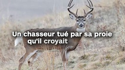 Un chasseur perd la vie par la proie qu'il croyait avoir "neutralisé"