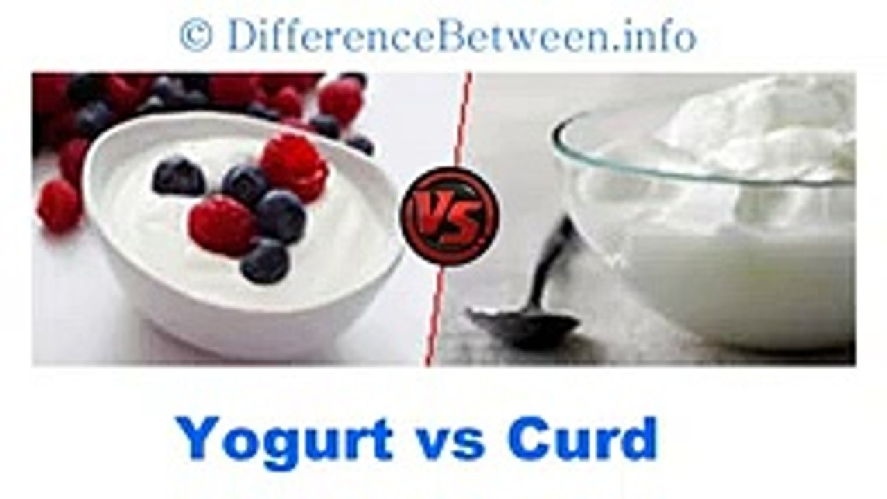 difference between curd and yogurt