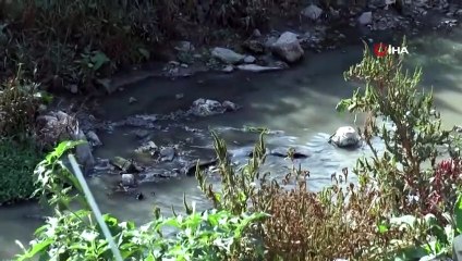 Kocaeli'de Simsiyah Su Akan Kanal Vatandaşları Korkutuyor