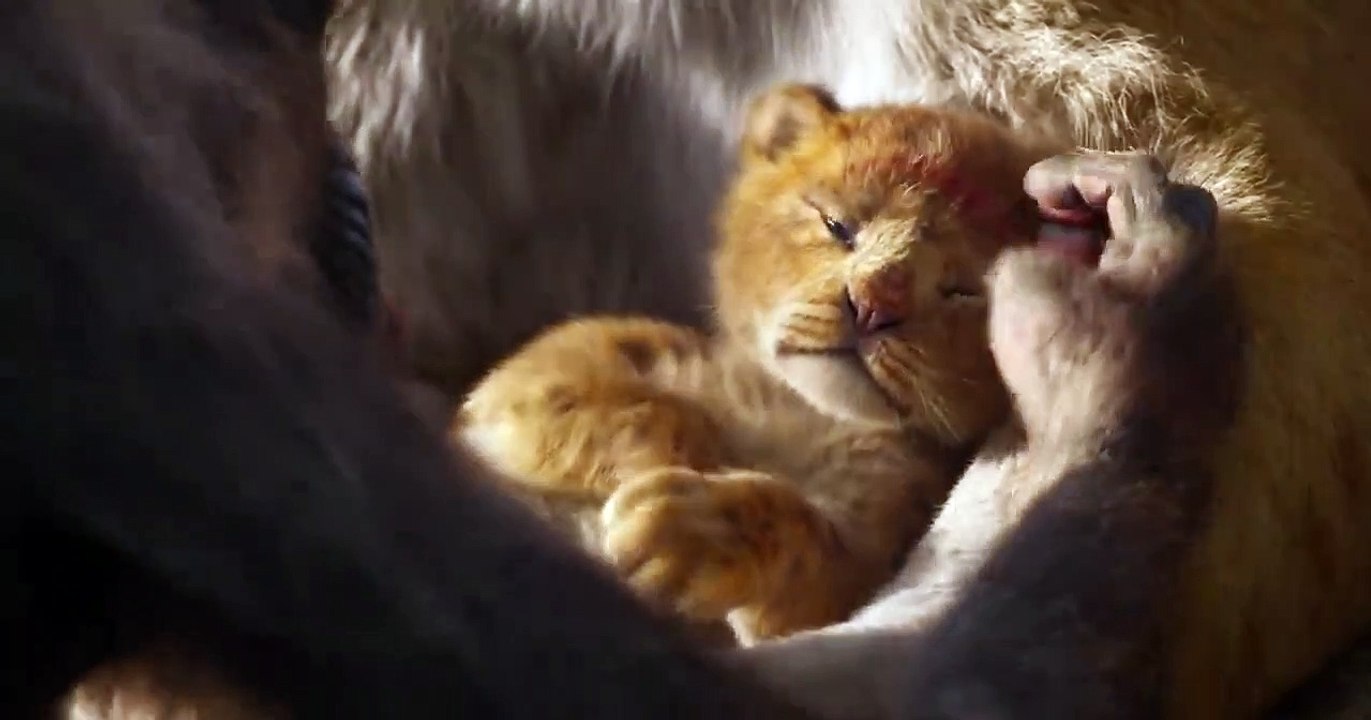 THE LION KING Trailer #1 NEW (2019) Disney Live Action Movie HD - Vidéo - Le Roi Lion Live Action Disney +