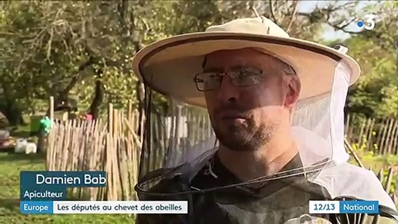 Biodiversité : les eurodéputés au chevet des abeilles