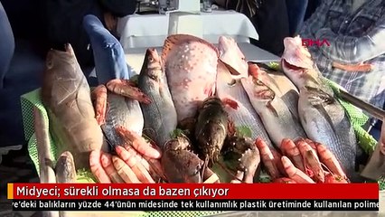 Midyeci: sürekli olmasa da bazen çıkıyor