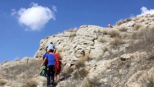 Kayalıklardan düşen av köpeğini AFAD kurtardı