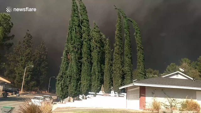 California woman flees home as wildfires force thousands to evacuate