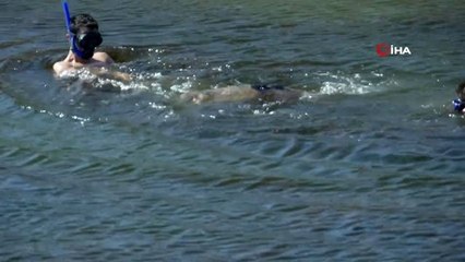 'Astrid' isimli caretta caretta 4 yıl sonra sağlığına kavuştu