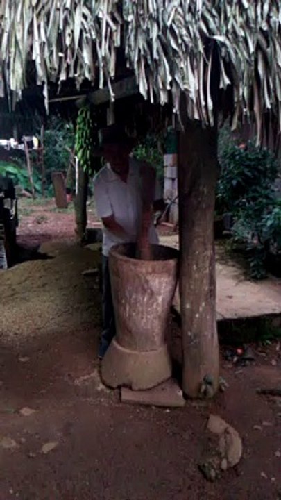 Tchon bat le café