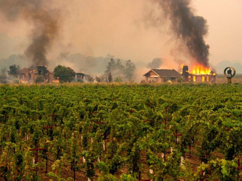 Wineries Forced to Close and Evacuate Workers as Wildfire Hits Sonoma