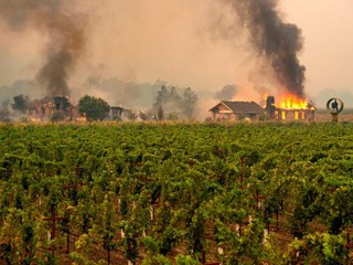 Wineries Forced to Close and Evacuate Workers as Wildfire Hits Sonoma