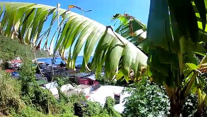 DOMINICA - A Travel Guide