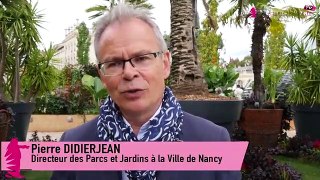 L'édition 2019 du jardin éphémère de Nancy
