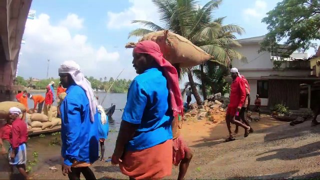 Munnar, India - Beautiful Kerala Tea Plantations & Outdoor activities!