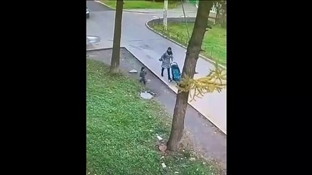 Un enfant s'amuse à sauter sur une plaque d'égout et va le regretter
