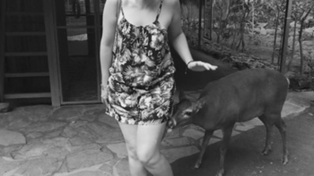 Costa Rica busca combatir las selfis que afectan a los animales silvestres