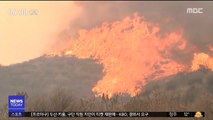 美 대형 산불 주택가 위협…5만 명 긴급 대피