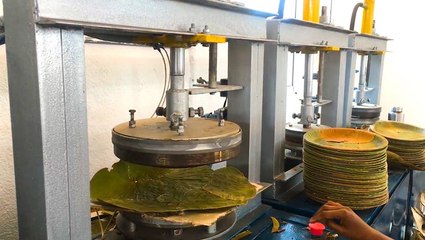 How leaves are made into biodegradable plates