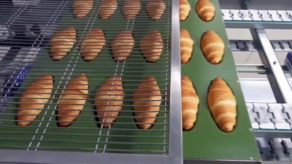 Amazing Product Processing Machines