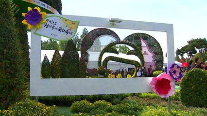 국화와 보석을 한꺼번에 만난다 / YTN