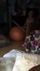 Girl Tries To Balance On An Exercise Ball And Fails
