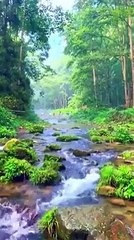 Birbirinden ilginç görüntüler