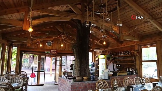 Bu restoranın içinden ağaç geçiyor