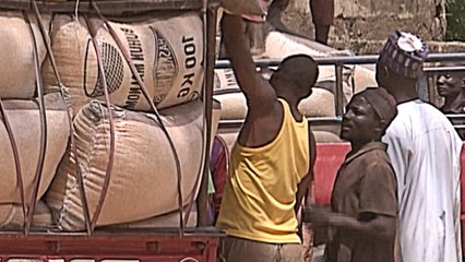 Nigeria border closure: Businesses complain of revenue loss