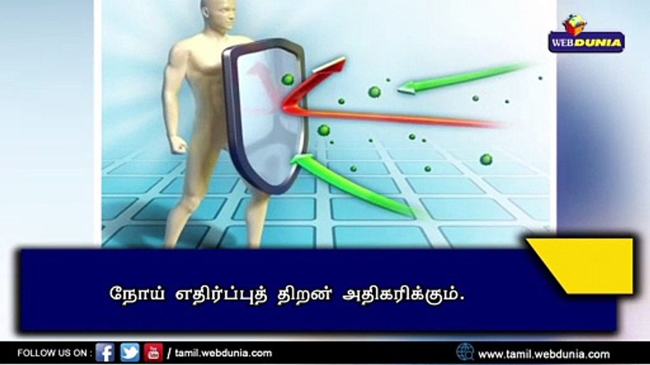 காளான் தரும் நன்மைகள்!!