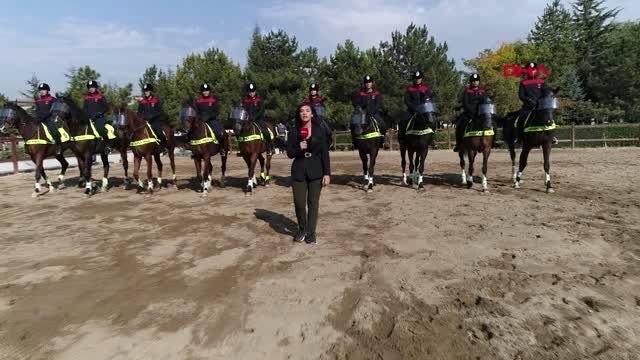 Ankara başkent'in atlı polis birliklerine sıkı eğitim-özel
