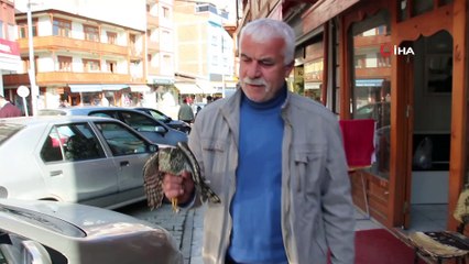 Yavru Atmaca ayakkabı mağazasına girdi