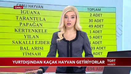 Yurt Dışından Kaçak Hayvan Getiriyorlar