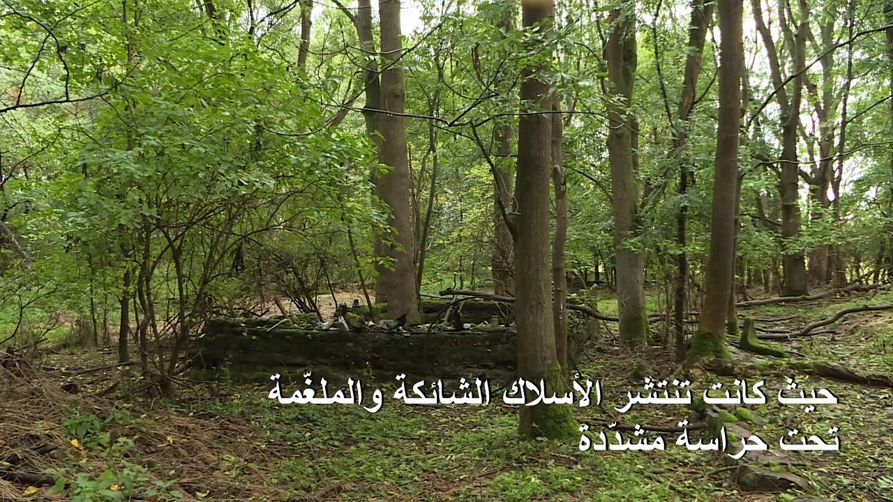 "الستار الحديدي" يتحول إلى حزام أخضر عند الحدود بين شطري ألمانيا