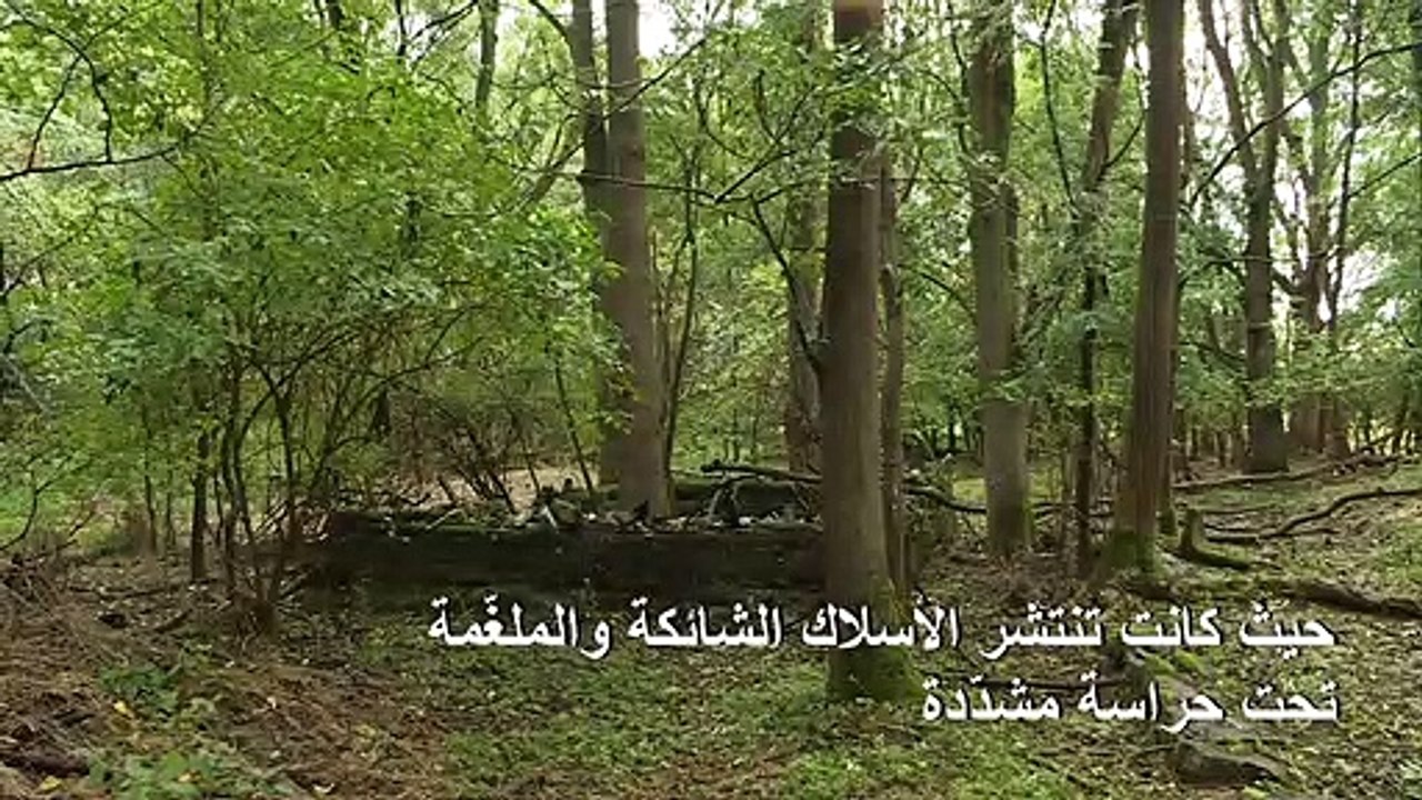 "الستار الحديدي" يتحول إلى حزام أخضر عند الحدود بين شطري ألمانيا