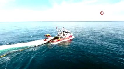 Karadeniz'de "Zargana" balıkçıların yüzünü güldürdü