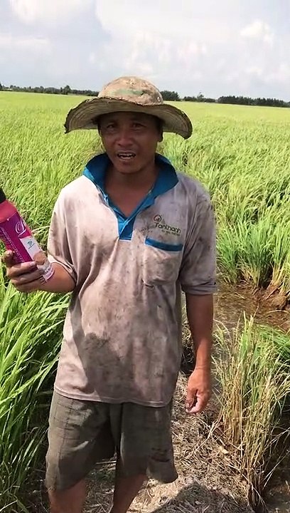 Anh chơn