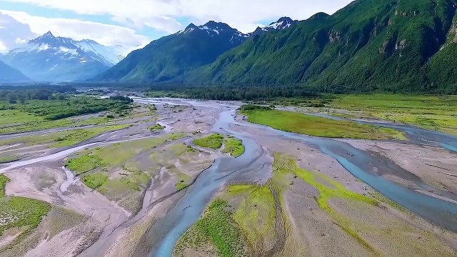 Nature Video For Whatsapp status - People needs Nature