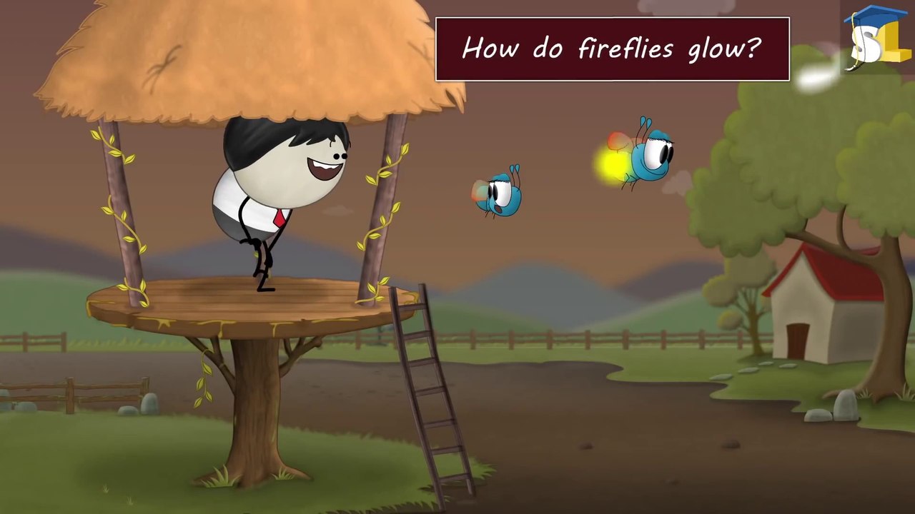 How_do_fireflies_glow_