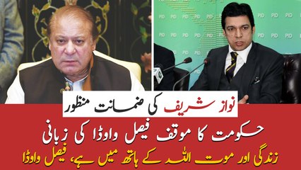 Faisal Vawda analysis over Nawaz Sharif's bail